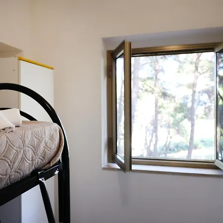 Sfinal פסקיצ'י